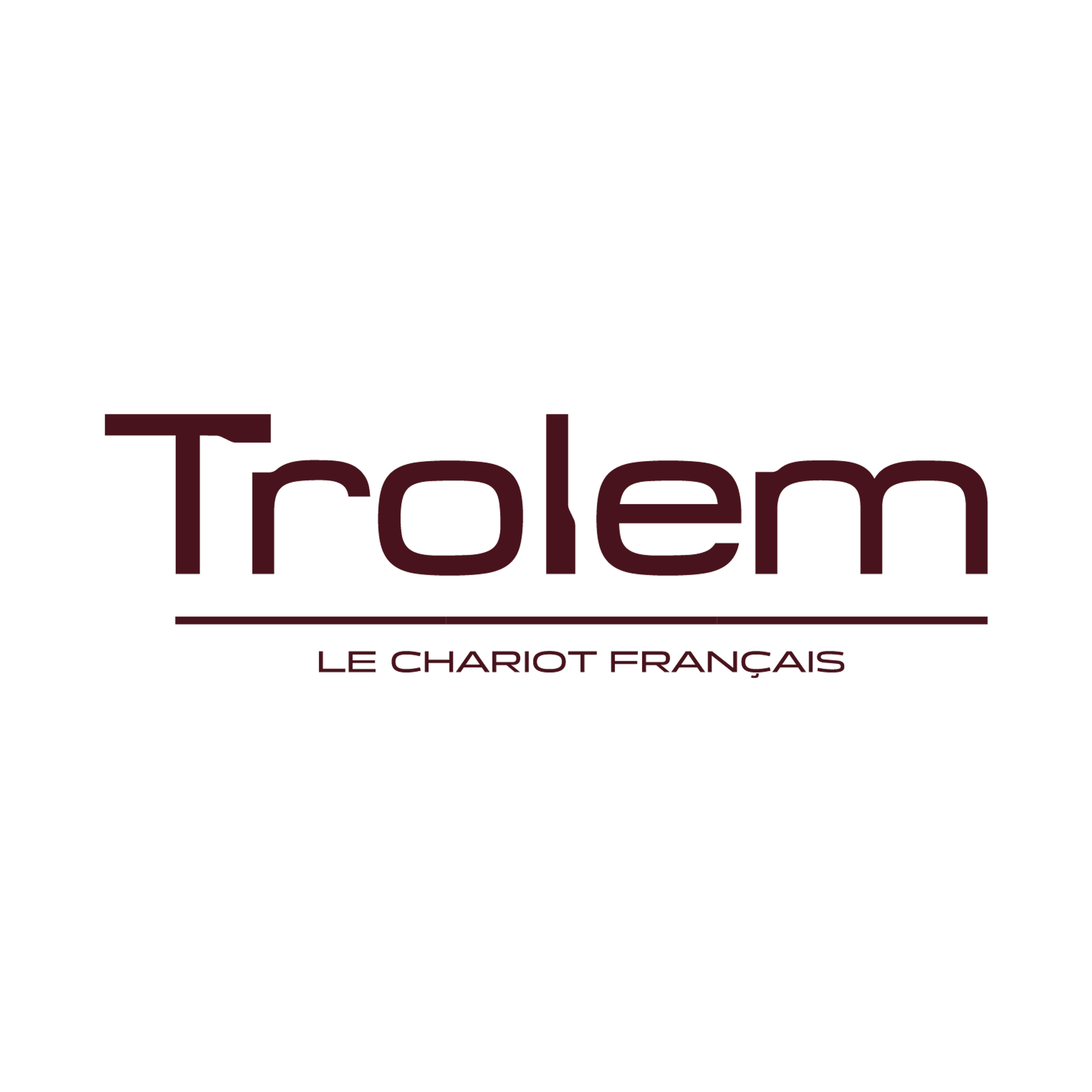 logo-trolem